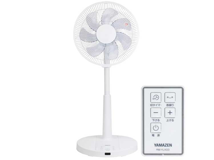 Electric Fan (Used)