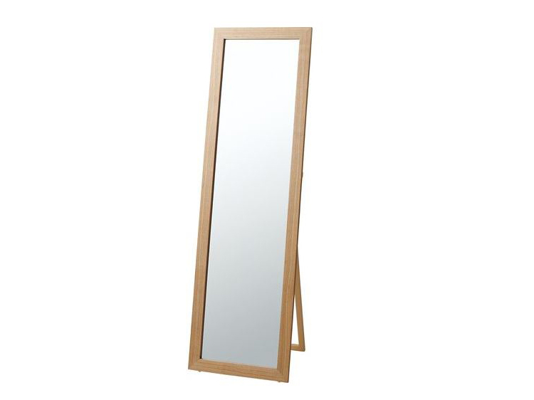 Stand Mirror (Used)