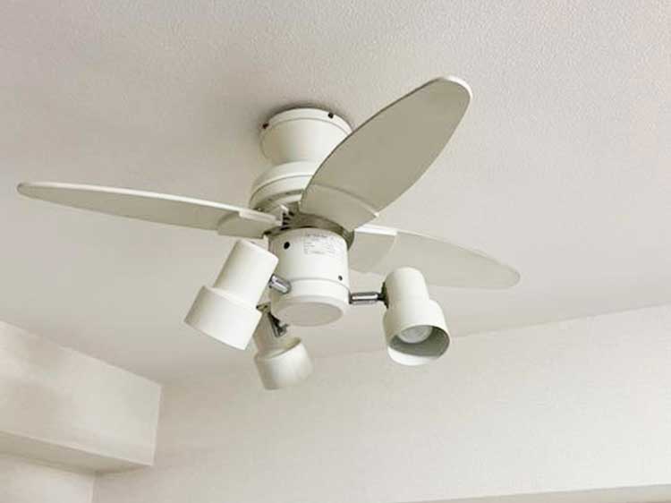 Ceiling Fan Lamp (Used)