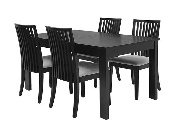 Dining Table with 4 chairs (Used)