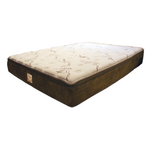 Queen-Size Mattress (Used)