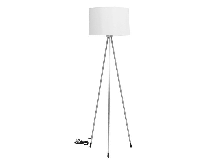 Floor Lamp (Used)