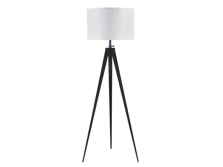 Floor Lamp (Used)