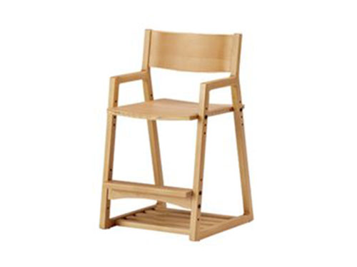 Desk Chair (Used)