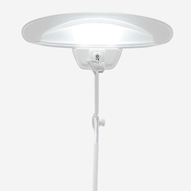 Desk Lamp (Used) #3