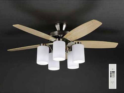 Ceiling Fan Lamp (Used)