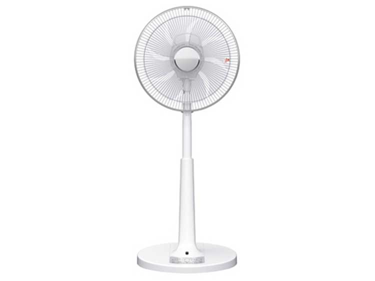 Fan (Used)