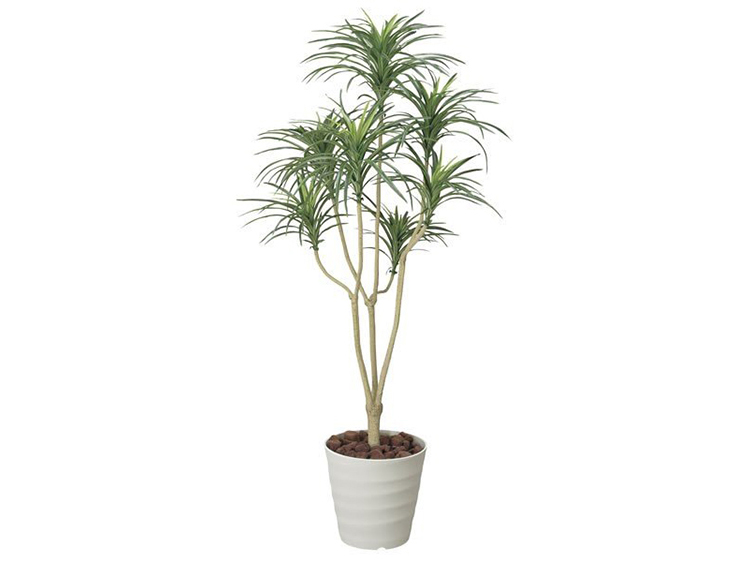 Art Plant Yucca (New)