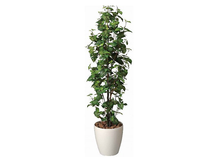 Art Plants (Used)