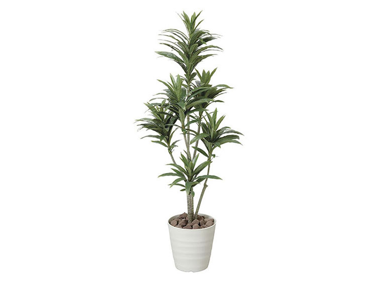 Art Plants (Used)