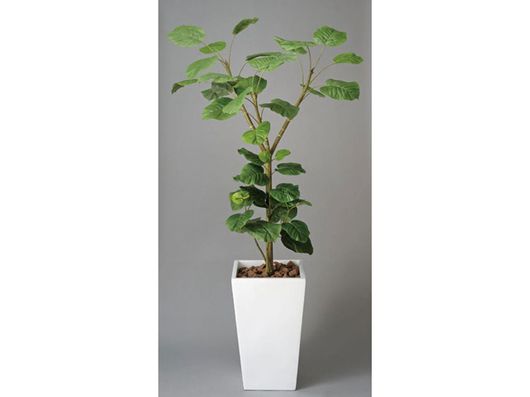 アートプラント (中古)
