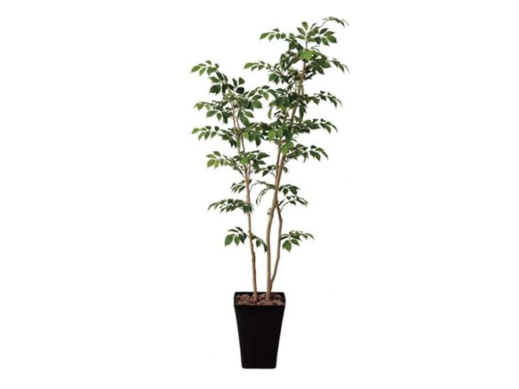 アートプラント (中古)