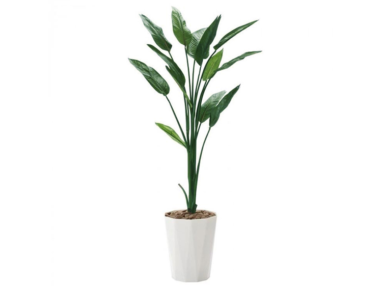 Art Plants (Used)
