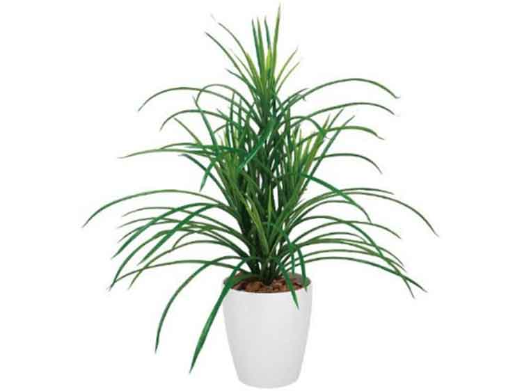 Art Plants (Used)