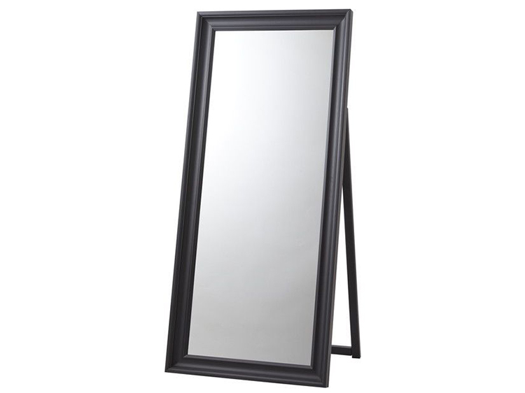 Stand Mirror (Used)