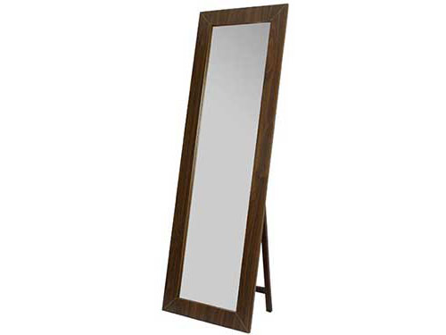 Stand Mirror (Used)