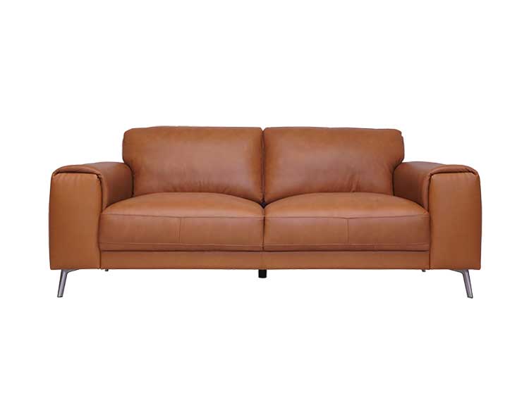 2.5P Sofa (New)