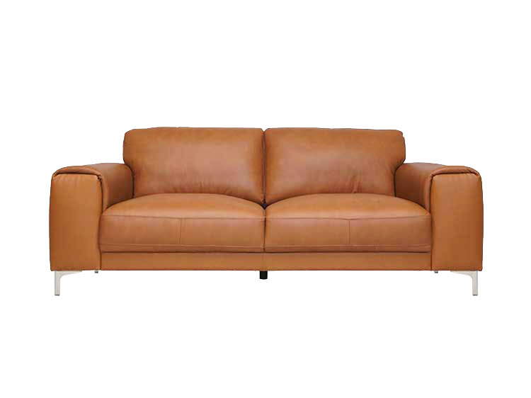 2.5P Sofa (Leather) (Used)