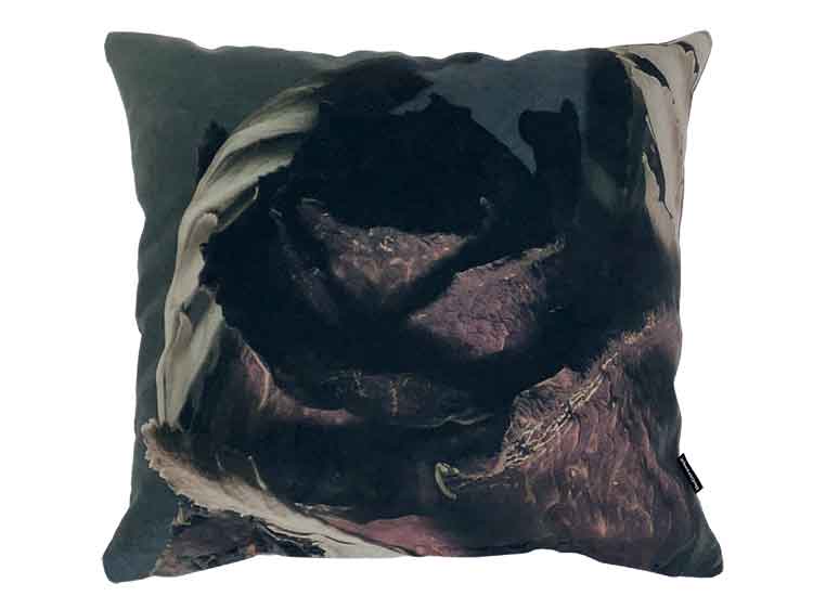 Pillow Cushion (Used)