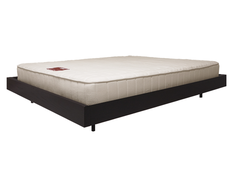 Queen-Size Bed Frame (Used)