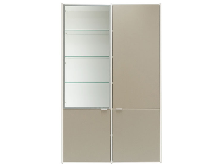Wall System cabinet (Used)
