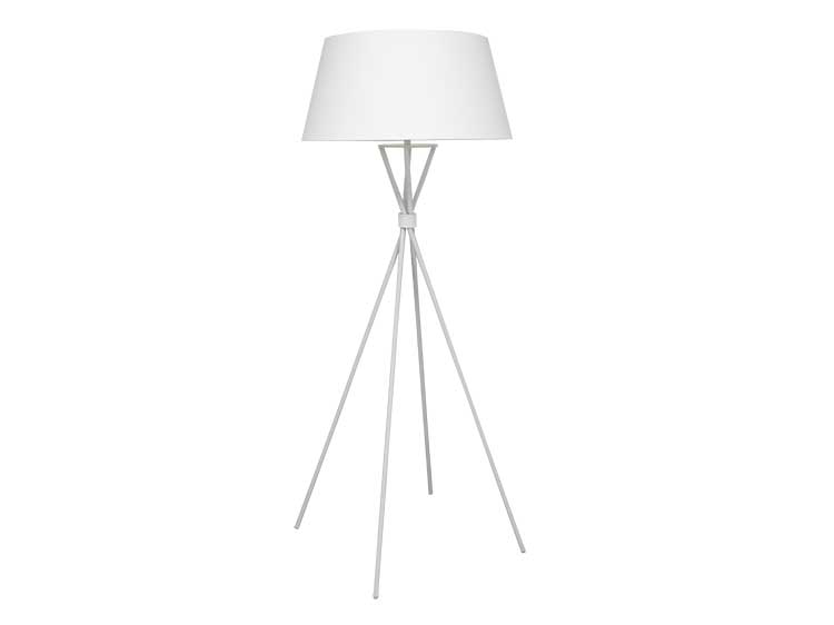 Floor Lamp (Used)