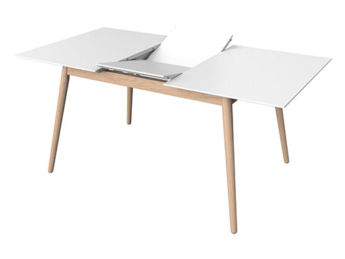 Dining Table (Used)
