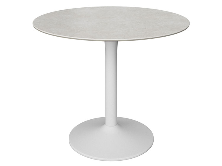 Dining Table (Used)