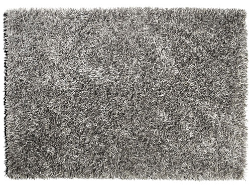 Rug (Used)