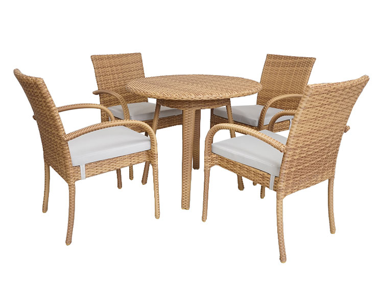 Garde Table with 4 chairs (Used)