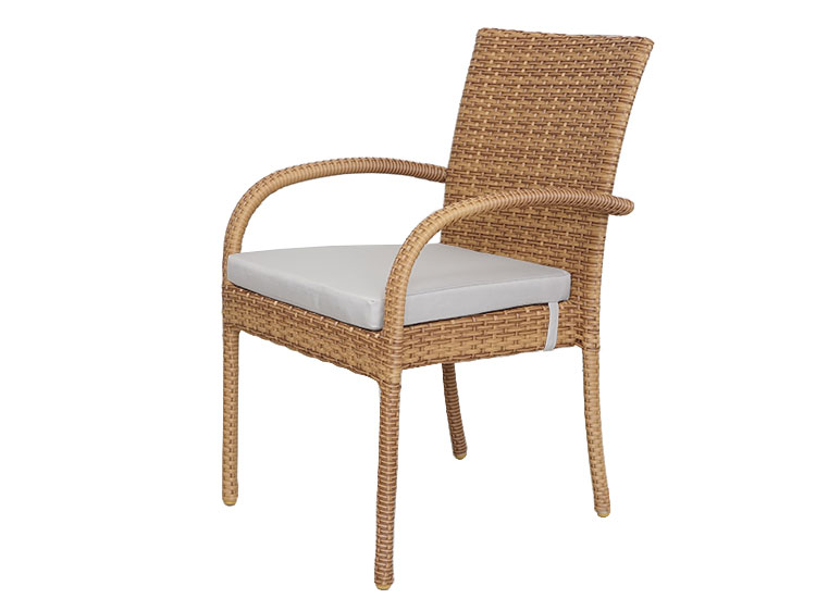 Garden Chair-NA with Cushion (New)
