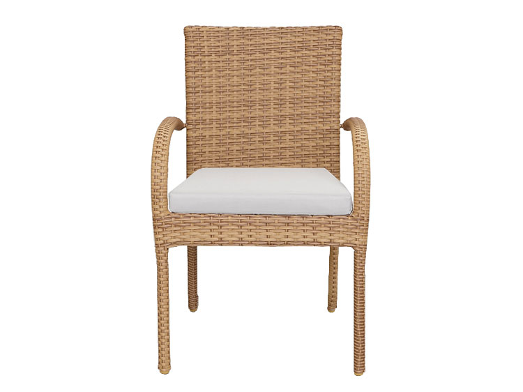 Garden Chair-NA with Cushion (New) #2