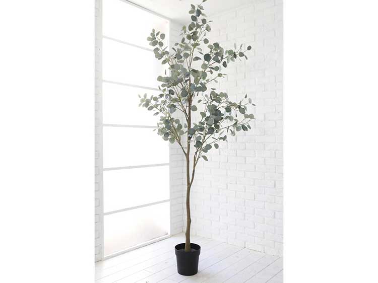 アートプラント (中古)