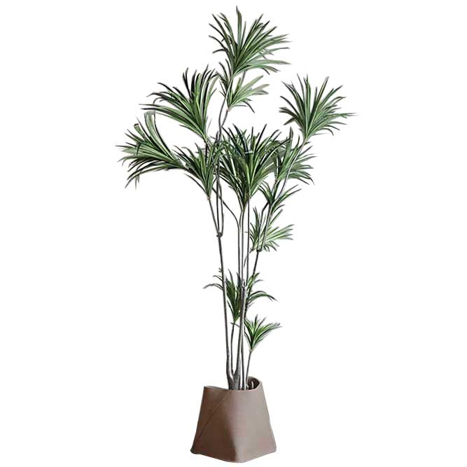 Art Plant Yucca (New)
