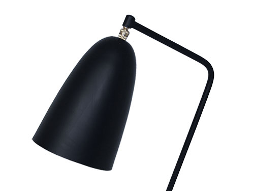 Floor Lamp (Used) #2