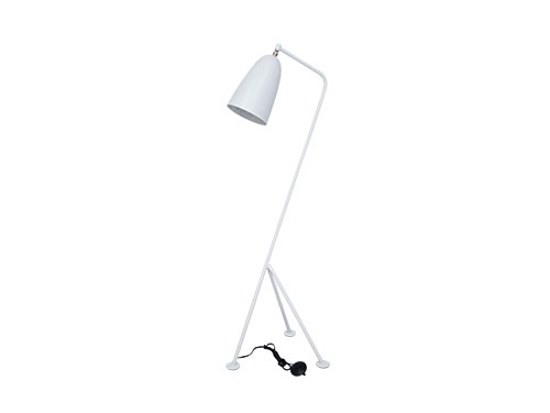 Floor Lamp (New)