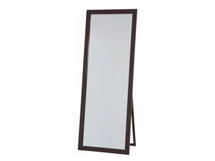 Stand Mirror (Used)