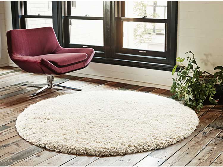 Rug (Used)