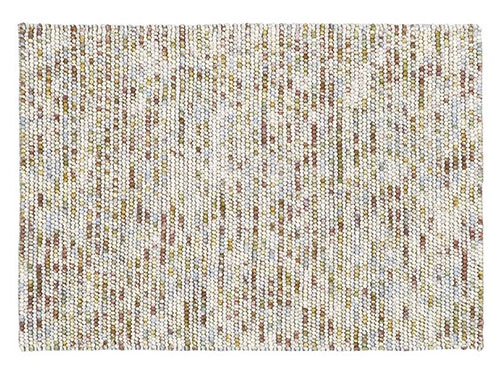 Rug (Used)