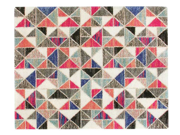 Rug (Used)