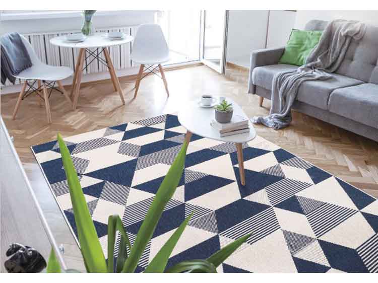 Rug (Used) 　