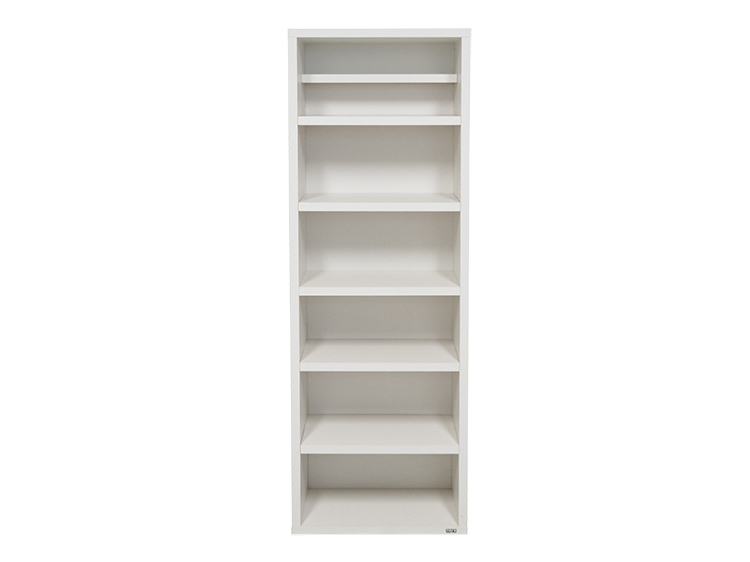 Shelf (Used)