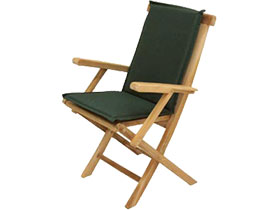 Folding Arm Chair (Used) #2