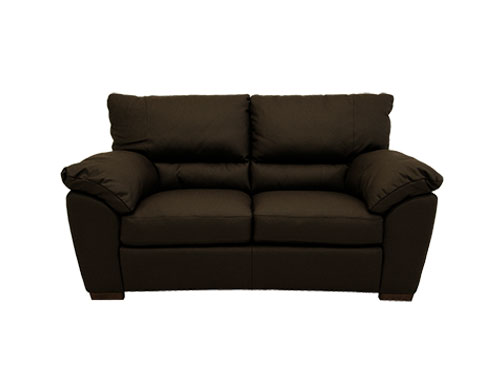 2P Sofa (Leather) (Used)