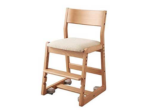 Desk Chair (Used)