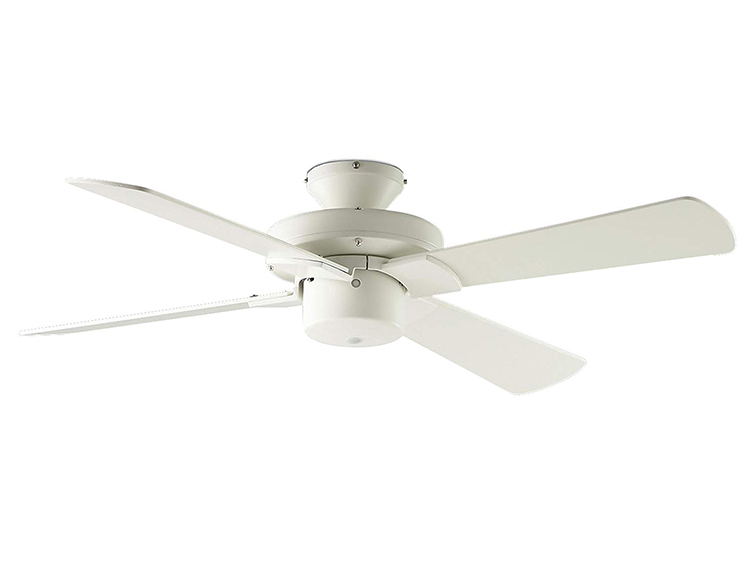 Ceiling Fan (Used)