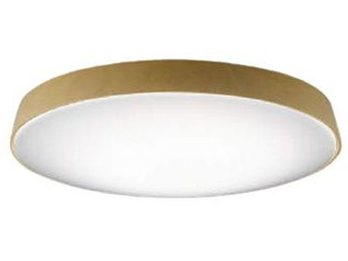 Ceiling Lamp (Used)