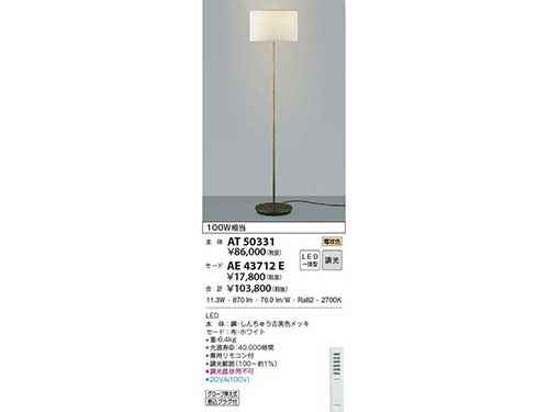 Floor Lamp (Used) #4