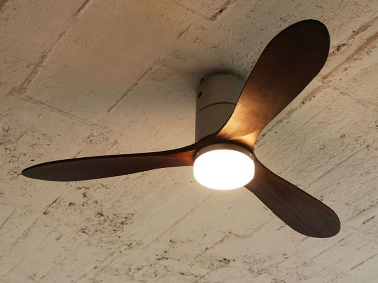 Ceiling Fan Lamp (Used) #2