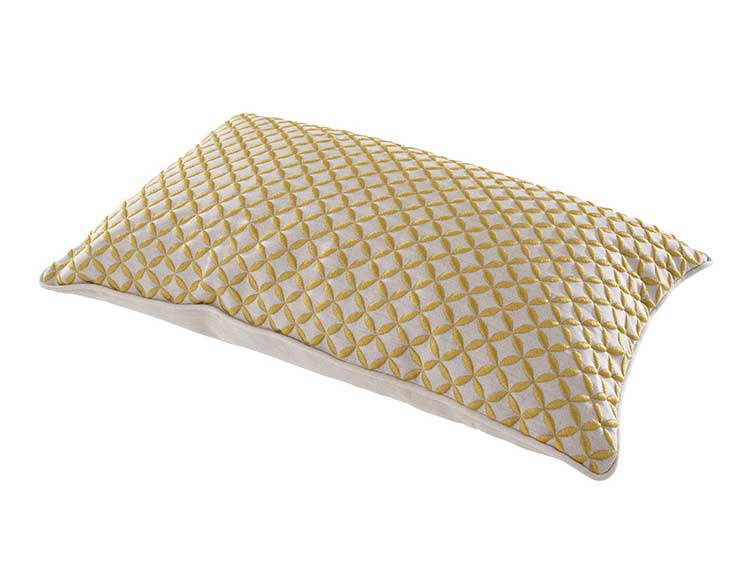 Pillow Cushion (Used)